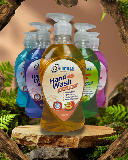 Quickly Liquid Hand Wash 500ml Antibacterial Moisturizing Formula